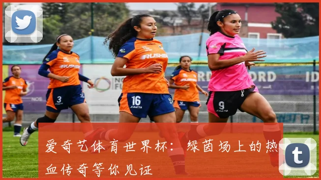 爱奇艺体育世界杯：绿茵场上的热血传奇等你见证